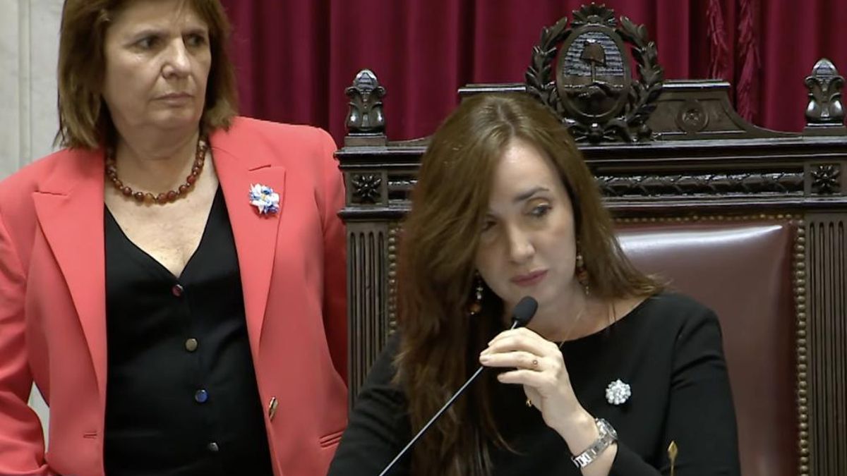 "A Michelli la van a cagar": fuerte discusión en el Senado porque buscan avanzar con más pliegos judiciales de los pactados