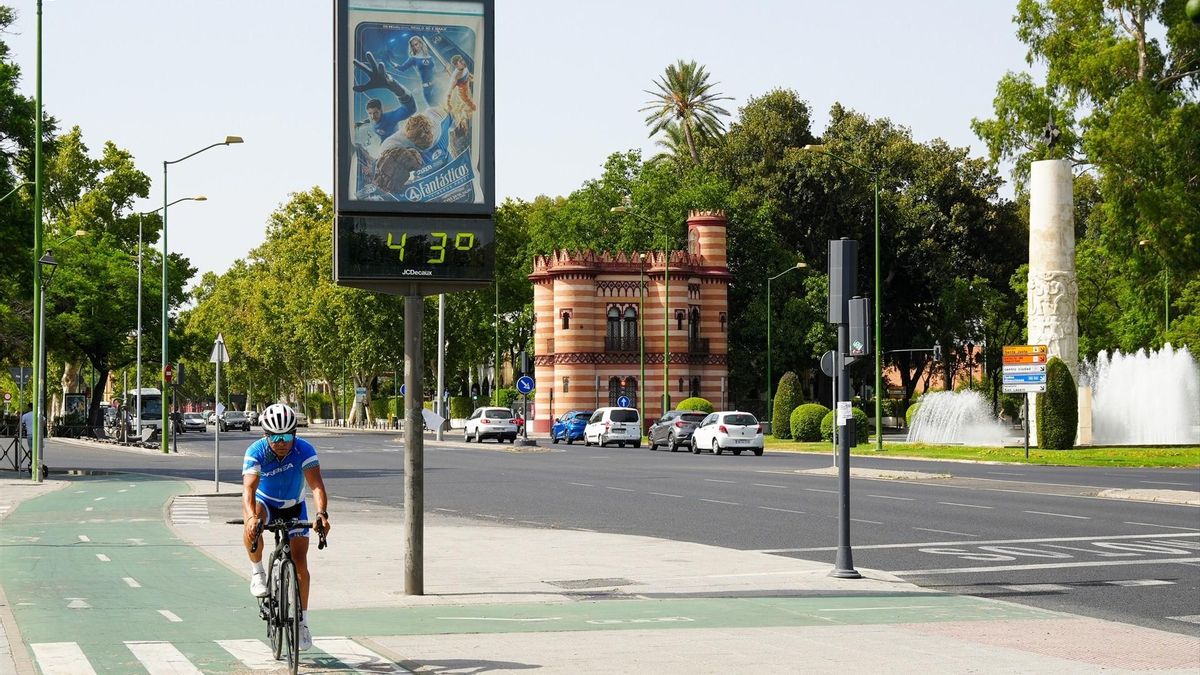 Un ciclista junto a un termómetro en el Paseo de las Delicias de Sevilla.