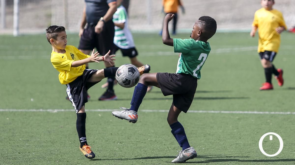 Torneo Benéfico de fútbol base