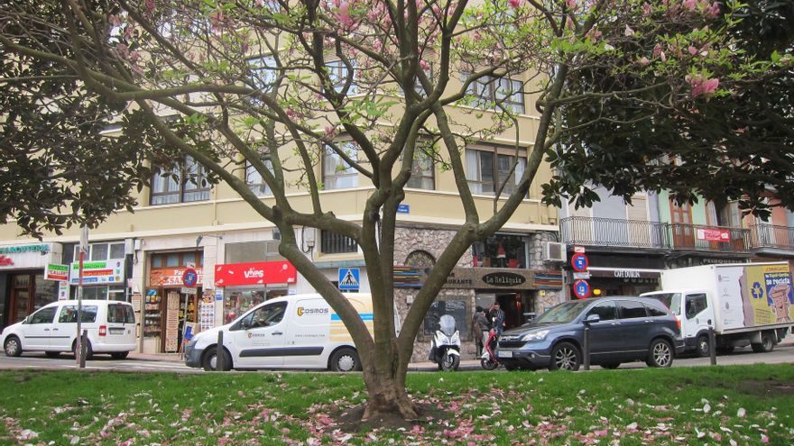 Las podas pueden provocar cortes temporales de tráfico.