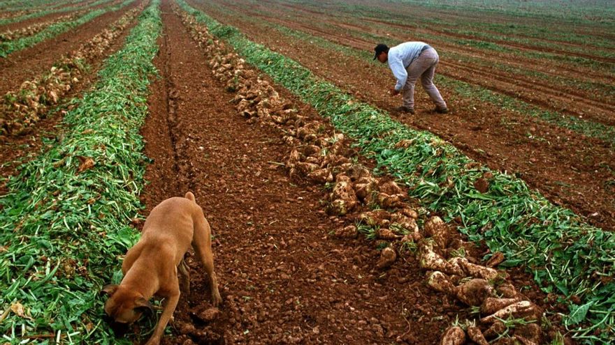 La economía de Castilla-La Mancha crecerá por encima de la media hasta 2025 y el paro caerá en un 12%, según BBVA