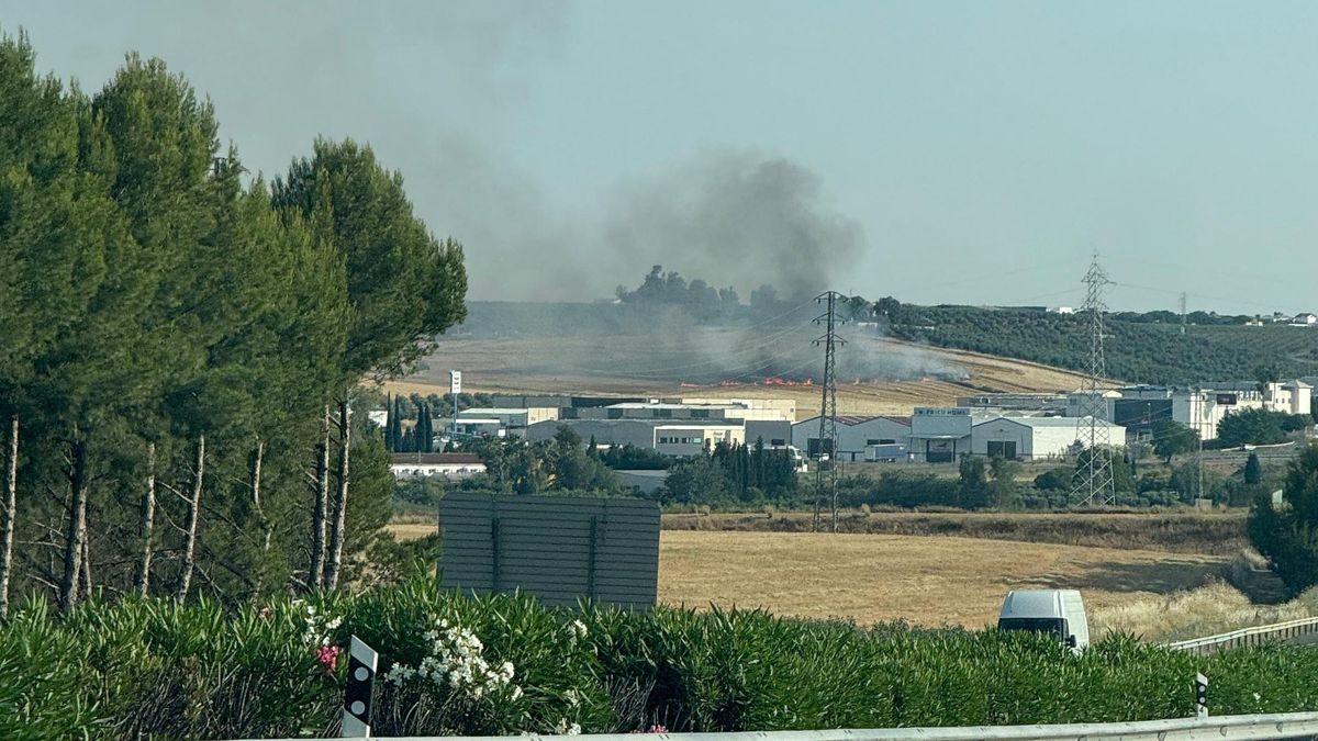 Incendio en un trigal en La Carlota.