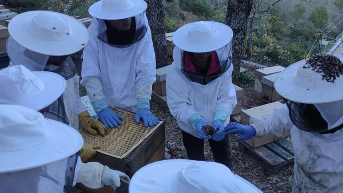 Visita a explotación apícola Dealia durante el curso de apicultura Pola de Gordon 2024 de Naturgeis. 