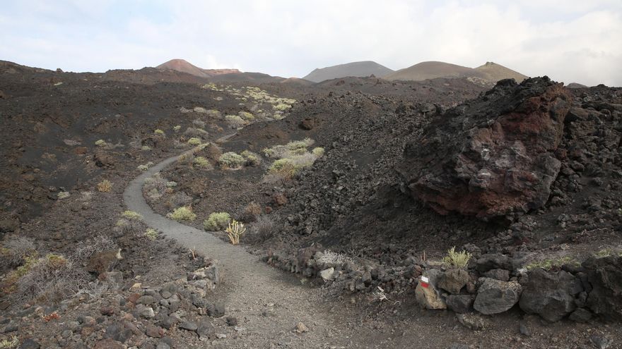 Algunos arbustos han empezado a colonizar el terreno volcánico / Alejandro Ramos.