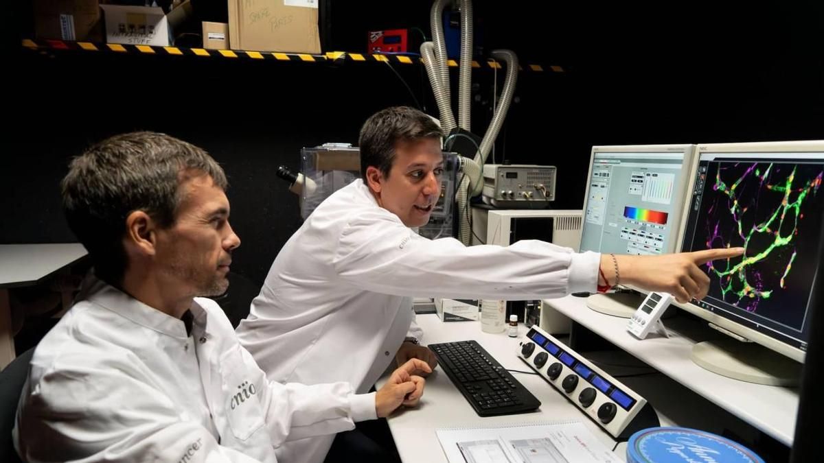 Españoles identifican una vía terapéutica que evita el inicio de la metástasis cerebral