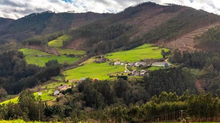 El Gobierno de Asturias plantea un Pacto por el Medio Rural para que el campo sea un lugar atractivo para vivir y trabajar