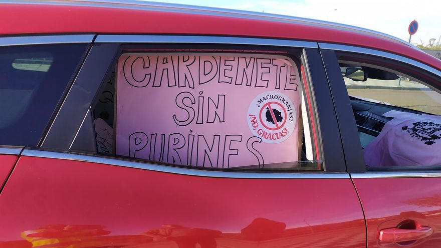 Cientos de coches toman la ciudad de Cuenca para clamar contra las macrogranjas: "Ni en tu pueblo ni en el mío”