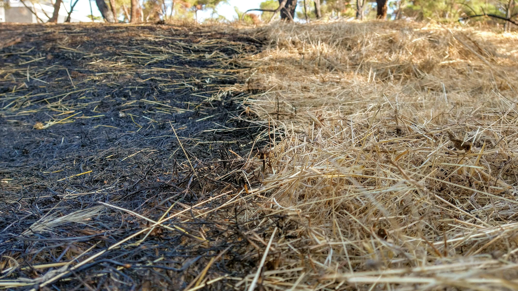 Incendio Dehesa de la Villa - paja quemada