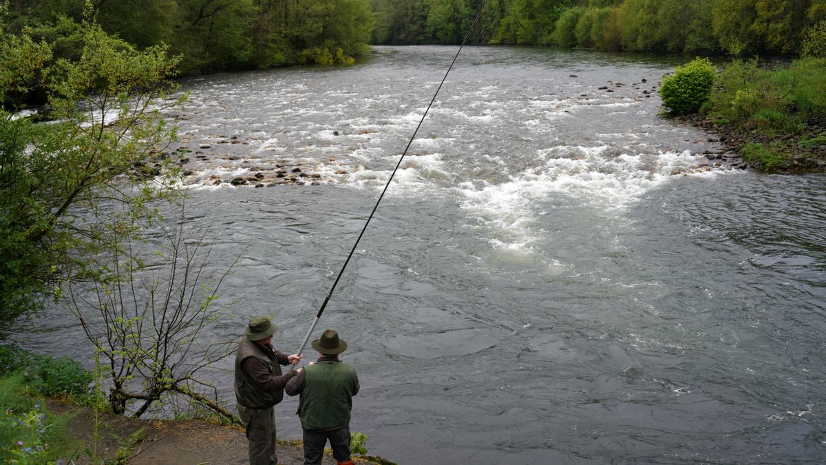 CORNELLANA, 13/04/2025.- Cientos de pescadores tratan este domingo de hacerse con el preciado 'campanu', el primer salmón que se captura en Asturias al inicio de cada temporada y que el pasado año fue un ejemplar de 8,2 kilos y 92 centímetros de longitud por el que se pagaron 19.300 euros, una cifra nunca alcanzada hasta ahora en la tradicional subasta. EFE/Paco Paredes