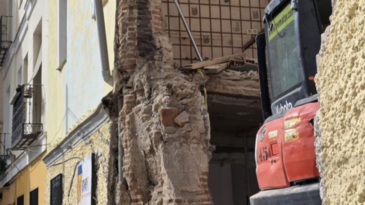 El Baobab y todas las casas bajas caen porque construimos nuestras ciudades mirando solamente la tasa de beneficio