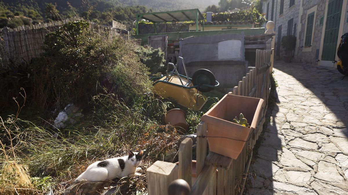 Imagen de unas obras en Estellencs