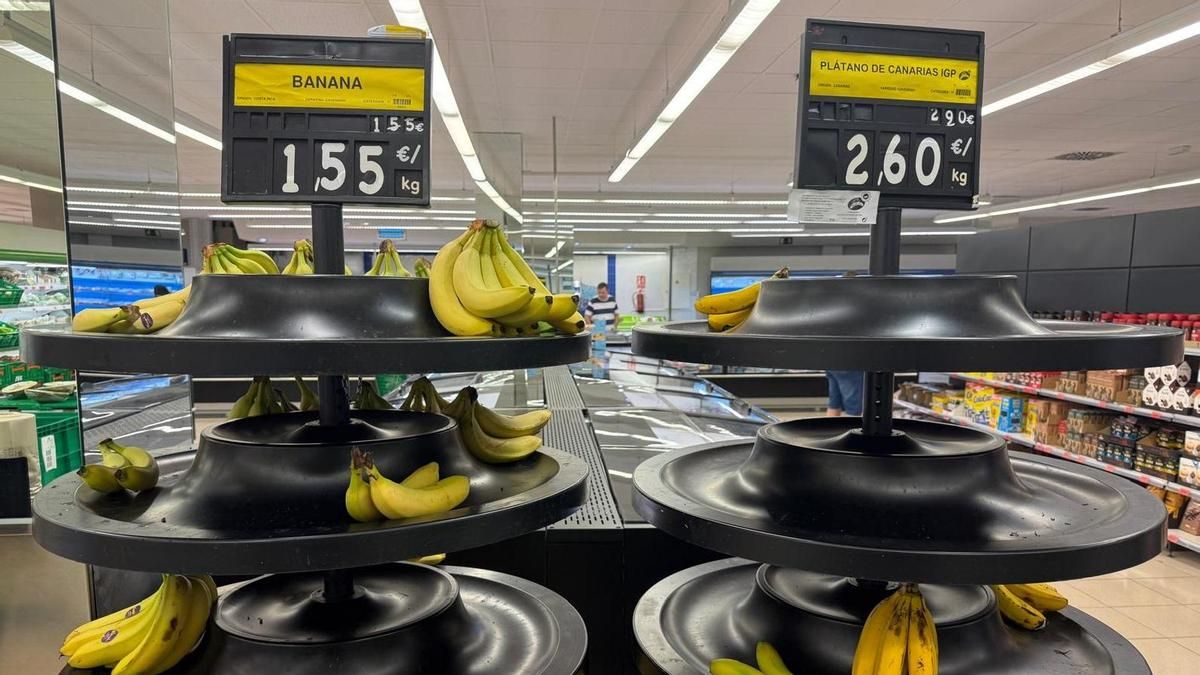 Calor, exceso de oferta y bajo consumo llevan al plátano  de Canarias a recordar los precios de la crisis de 2023