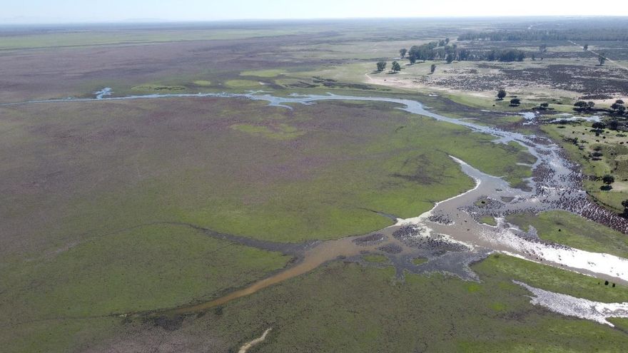 Doñana sufre su año más caluroso y agrava el mal estado de su acuífero: se sigue sacando más agua de la que entra