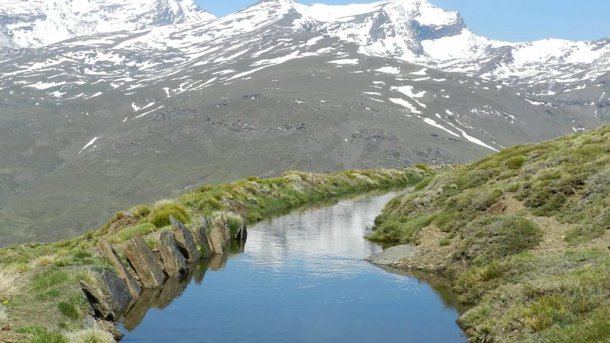 La rehabilitación de la acequia de Barjas en 2014 provocó un aumento del 19 % en los índices de vegetación