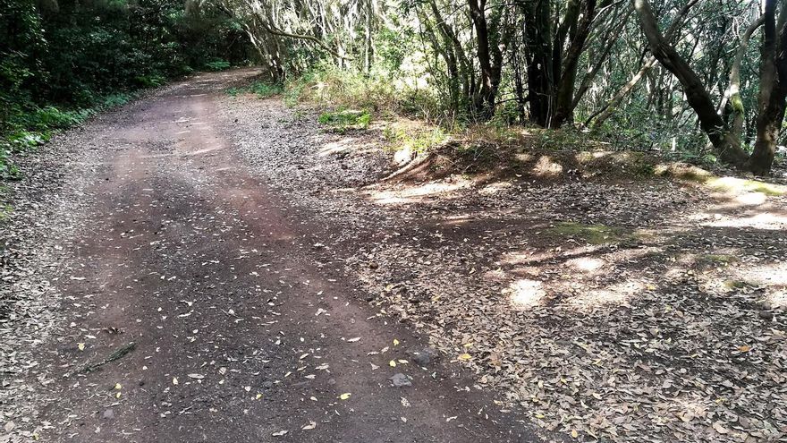 Sendero en el Parque Rural de Anaga