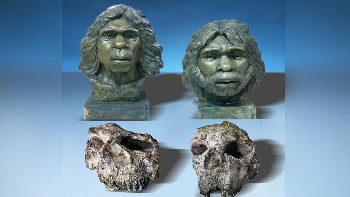 Reconstrucción del Homo erectus de Yunxian.