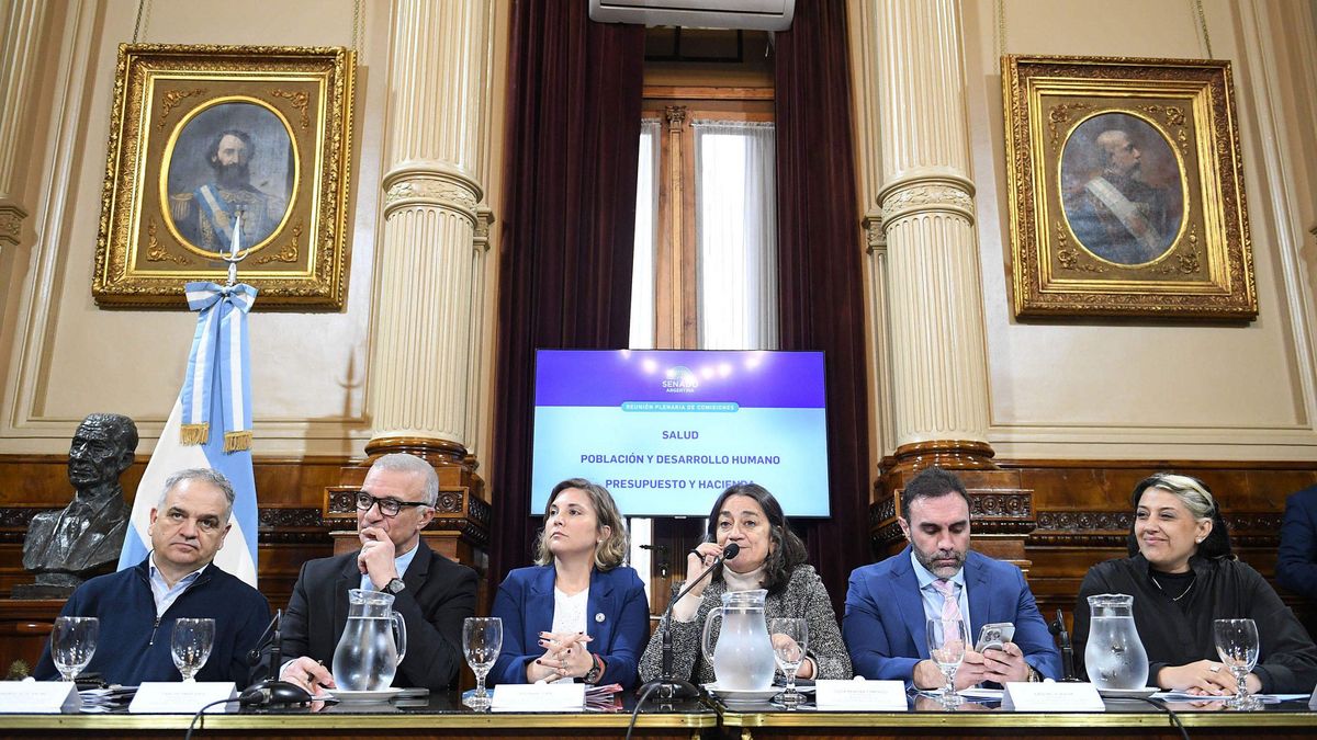 La reunión plenaria de las comisiones de Salud, Población y Desarrollo Humano, y de Presupuesto y Hacienda