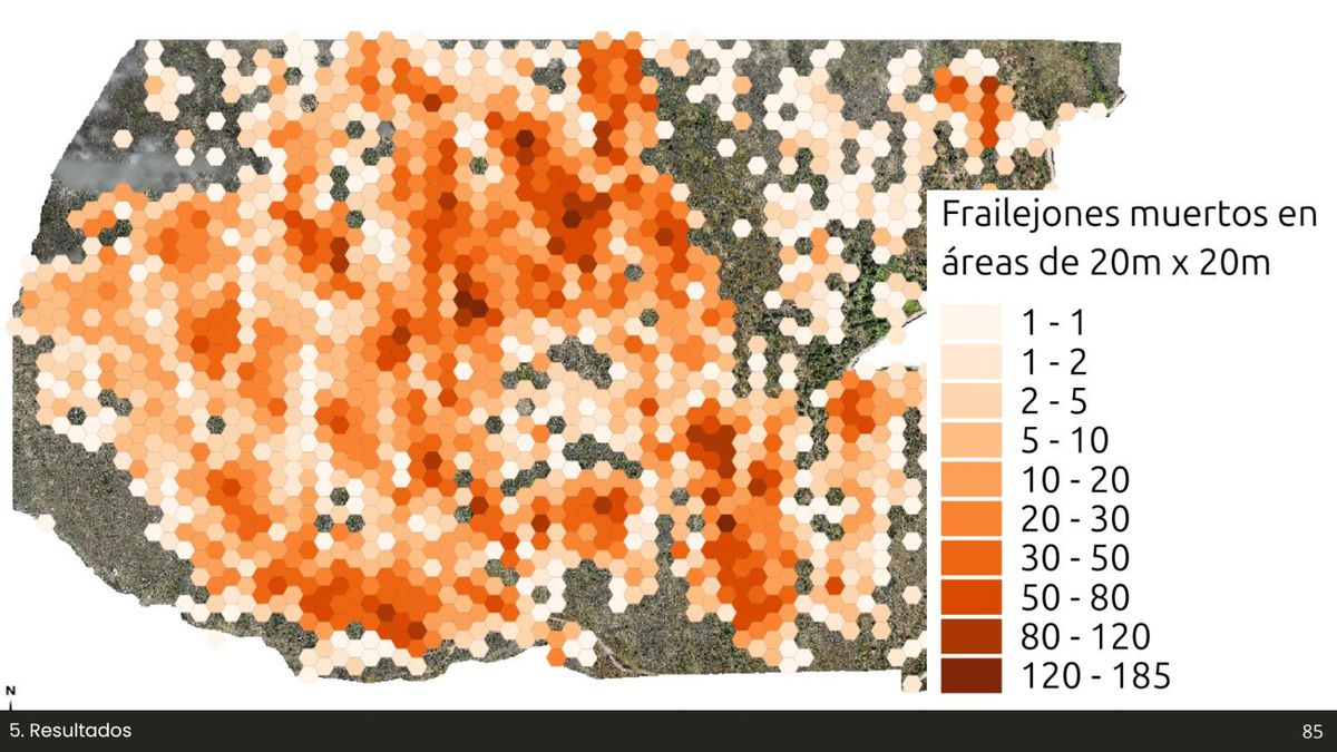 Gráfico cortesía de Paula Uzcátegui
