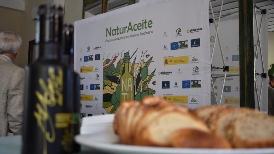 El experto en el arte de fabricar aceites de oliva de calidad, Miguel Abad, impartirá una ponencia en NaturAceite 2023