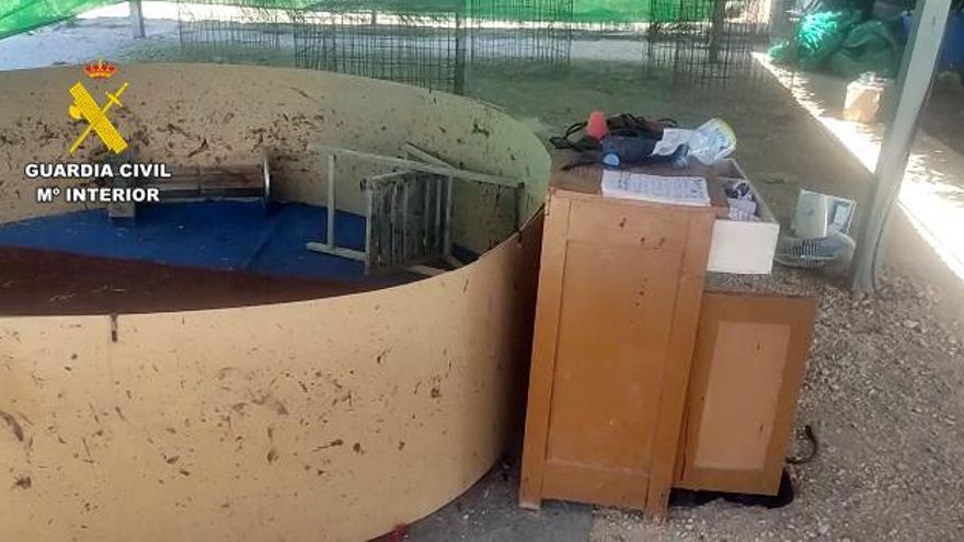 El reñidero de gallos