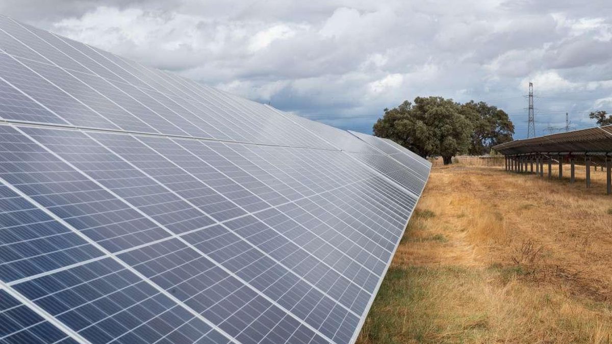 Extremadura blinda sus dehesas y suelos productivos frente a la expansión de las grandes plantas fotovoltaicas