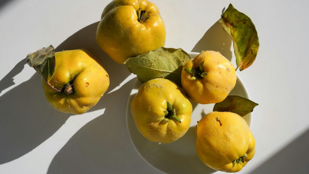 En el momento de elegir los frutos, asegúrate de que la piel sea dura, lisa y de color amarillo uniforme.