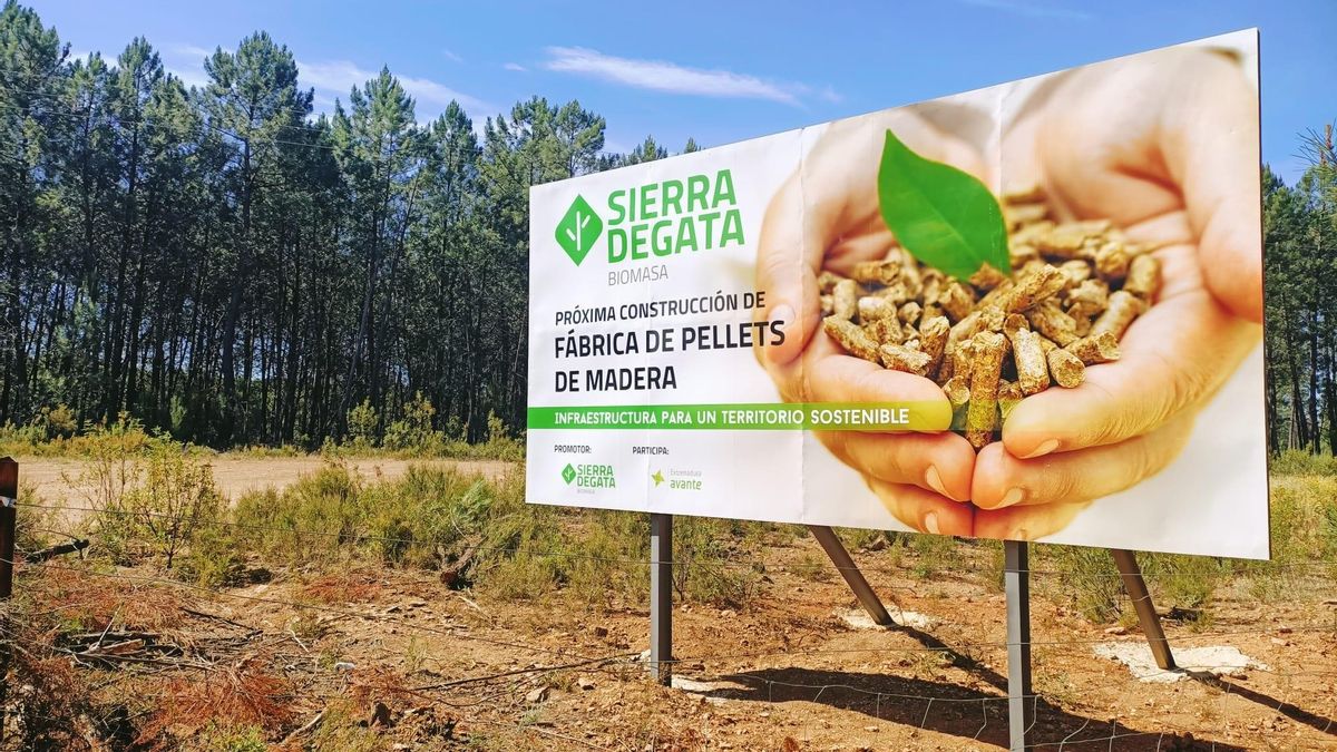 Una empresa invertirá 14 millones de euros en una planta de pellets en Villasbuenas de Gata
