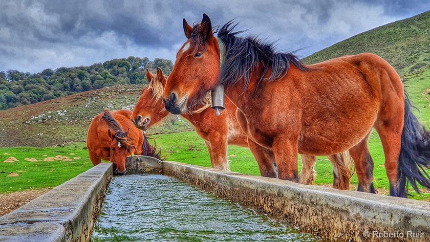 El Alto de Azpegi, en Navarra.