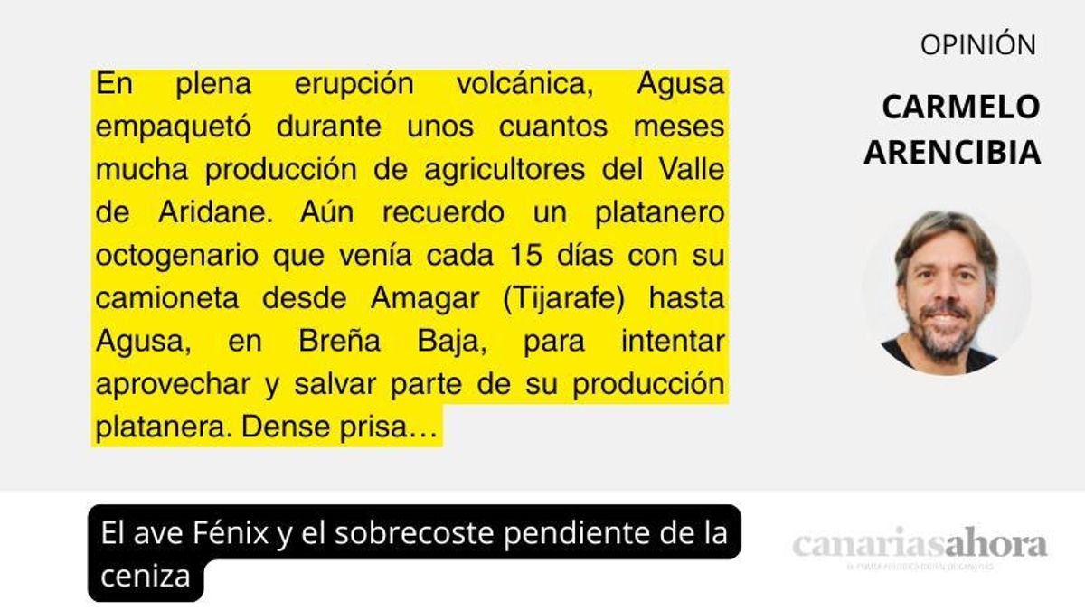 El ave Fénix y el sobrecoste pendiente de la ceniza