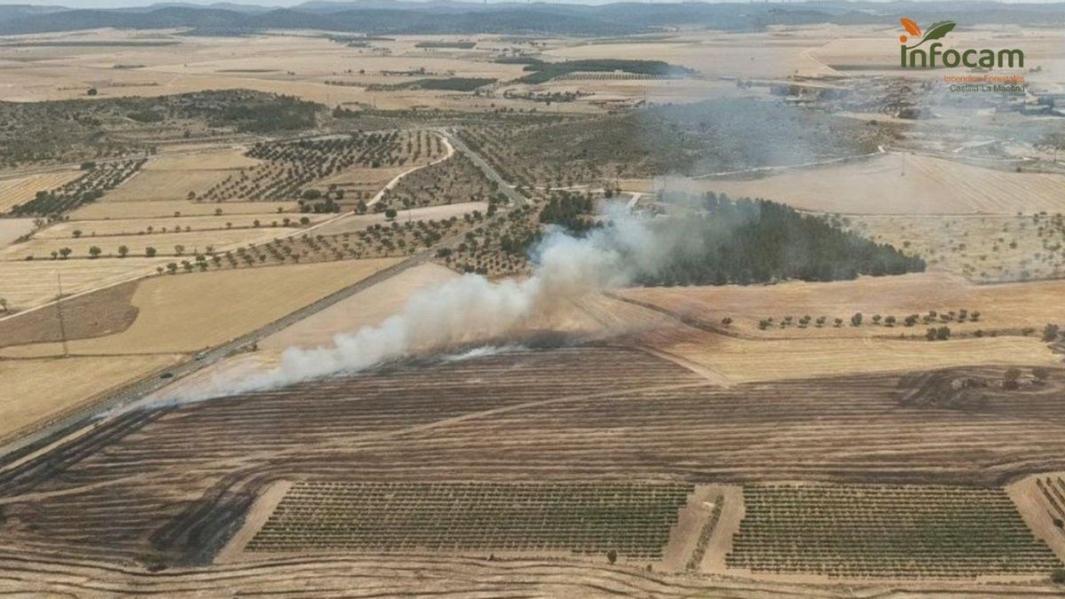 Un accidente mortal de tráfico provoca un incendio forestal en Albacete que alcanza el nivel 1