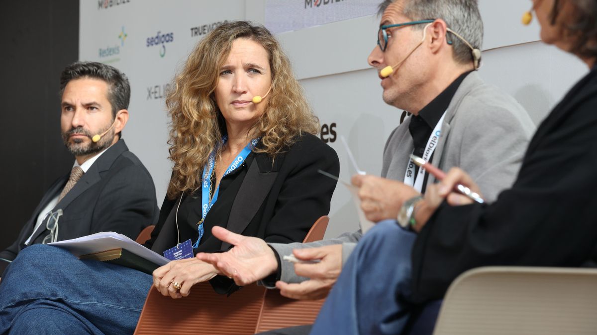 Eugenia del Río, secretario del Colegio Oficial de Arquitectos de Madrid