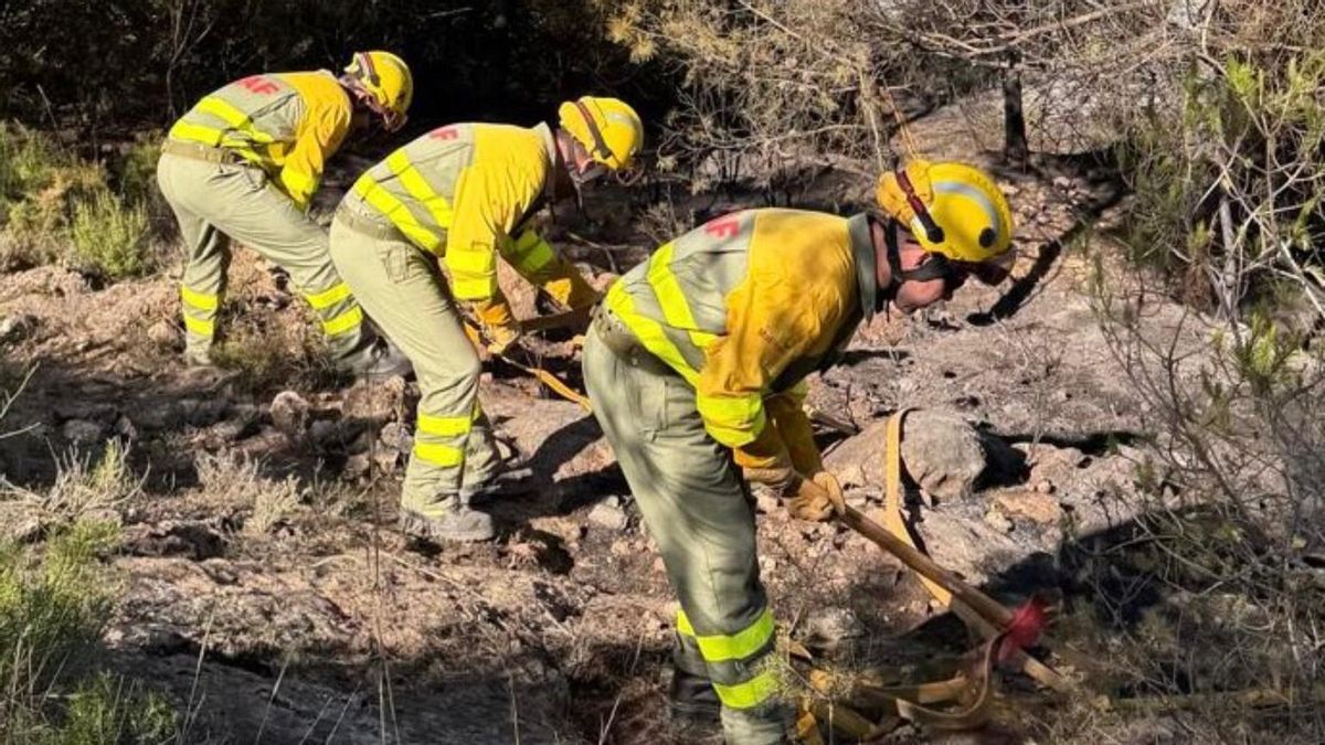 La Unió exige un aumento presupuestario tras el anuncio del Consell de ampliar las ayudas tras los últimos incendios