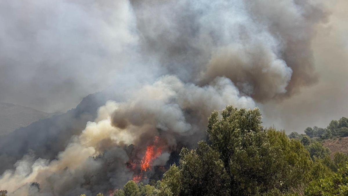 Siete medios aéreos y numerosos terrestres trabajan en un incendio en La Vall d'Uxiò