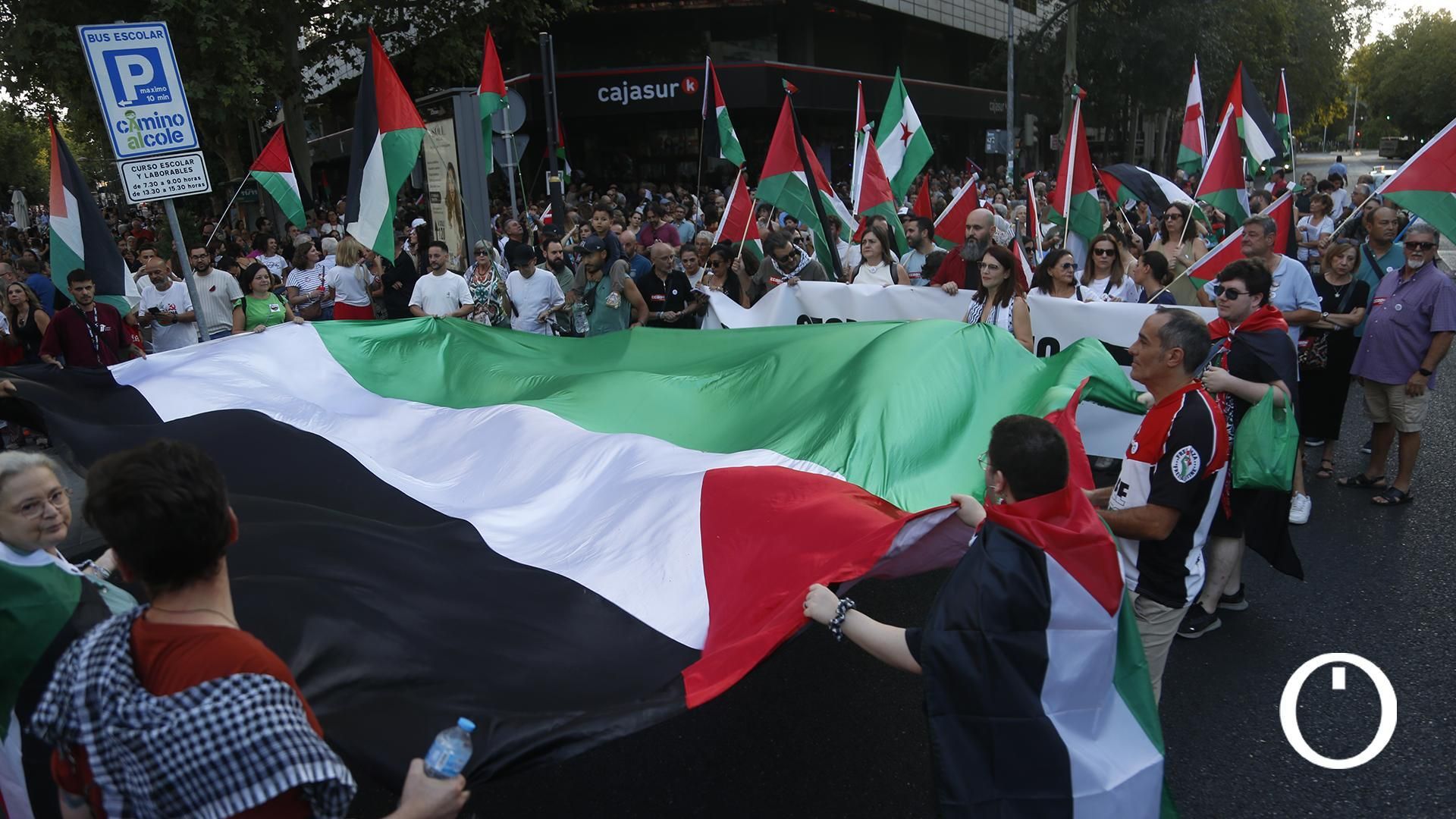 Las imágenes de la masiva manifestación en Córdoba por Palestina