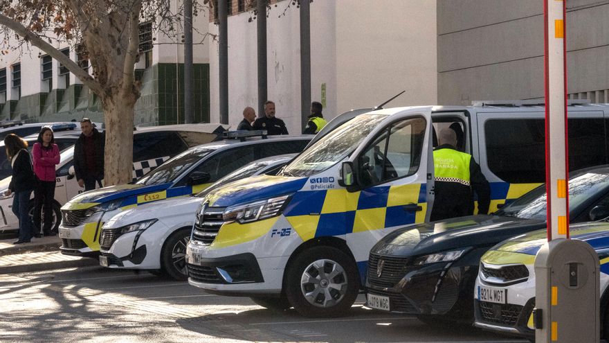 Retiran el acceso a VioGen a tres policías locales de Granada por entradas injustificadas en el mismo