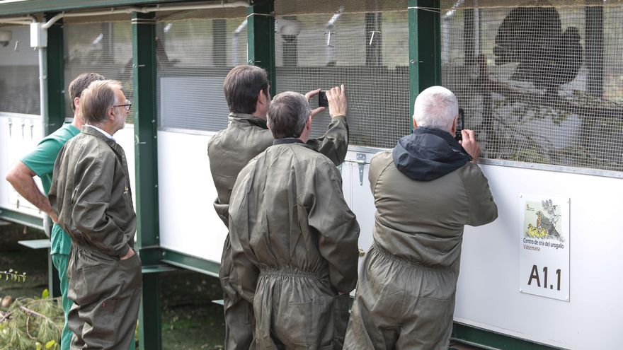 Nuevos fondos europeos ampliarán aún más el Centro de Cría del Urogallo de Valsemana con módulos de reproducción