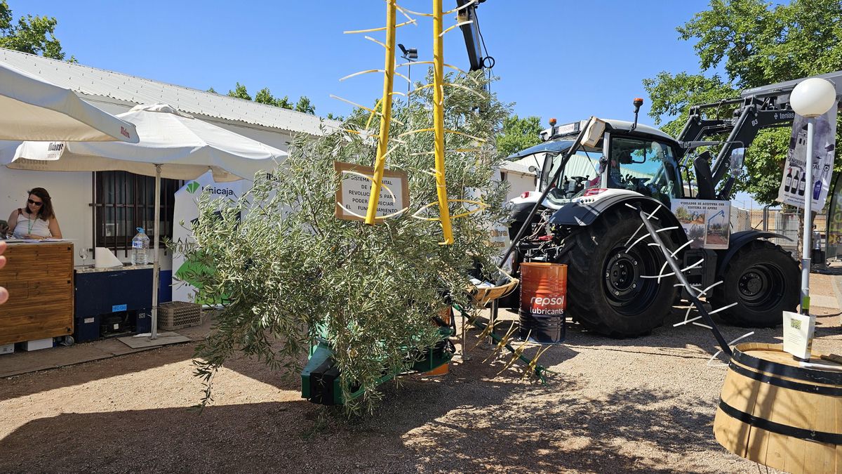 Mención jurado para el sistema orbital de recolección de aceituna desarrollado por el agricultor José Ramón Arias