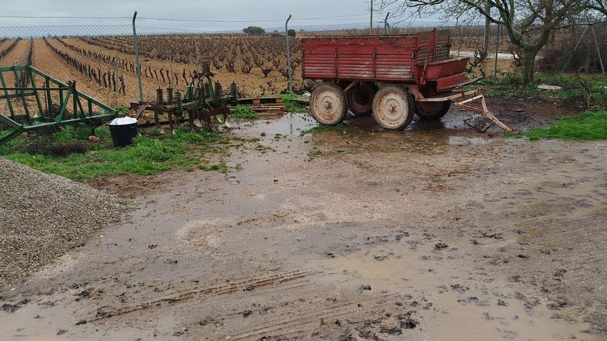 Remolque con insectos muertos