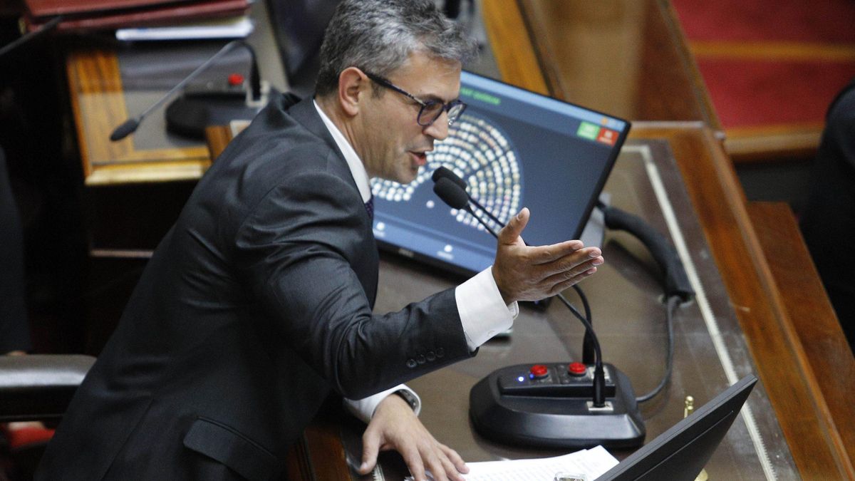 Martin Menem pudo celebrar