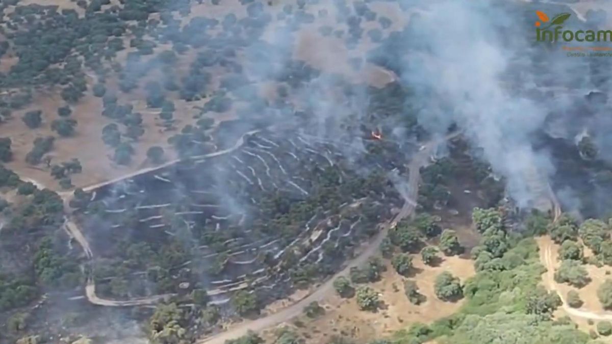 Se desata un incendio forestal en un paraje de la localidad toledana de Méntrida, en nivel 1