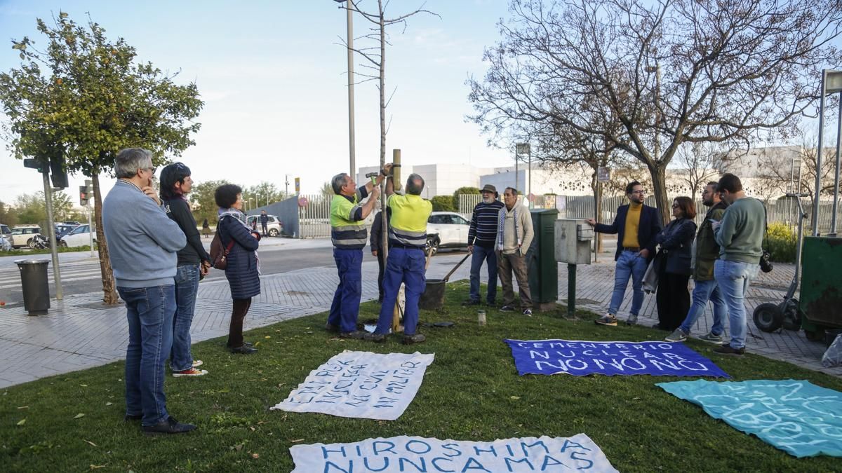 Plantación de un nuevo ginkgo en Miraflores y concentración al cumplirse 15 años del accidente nuclear de Fukushima