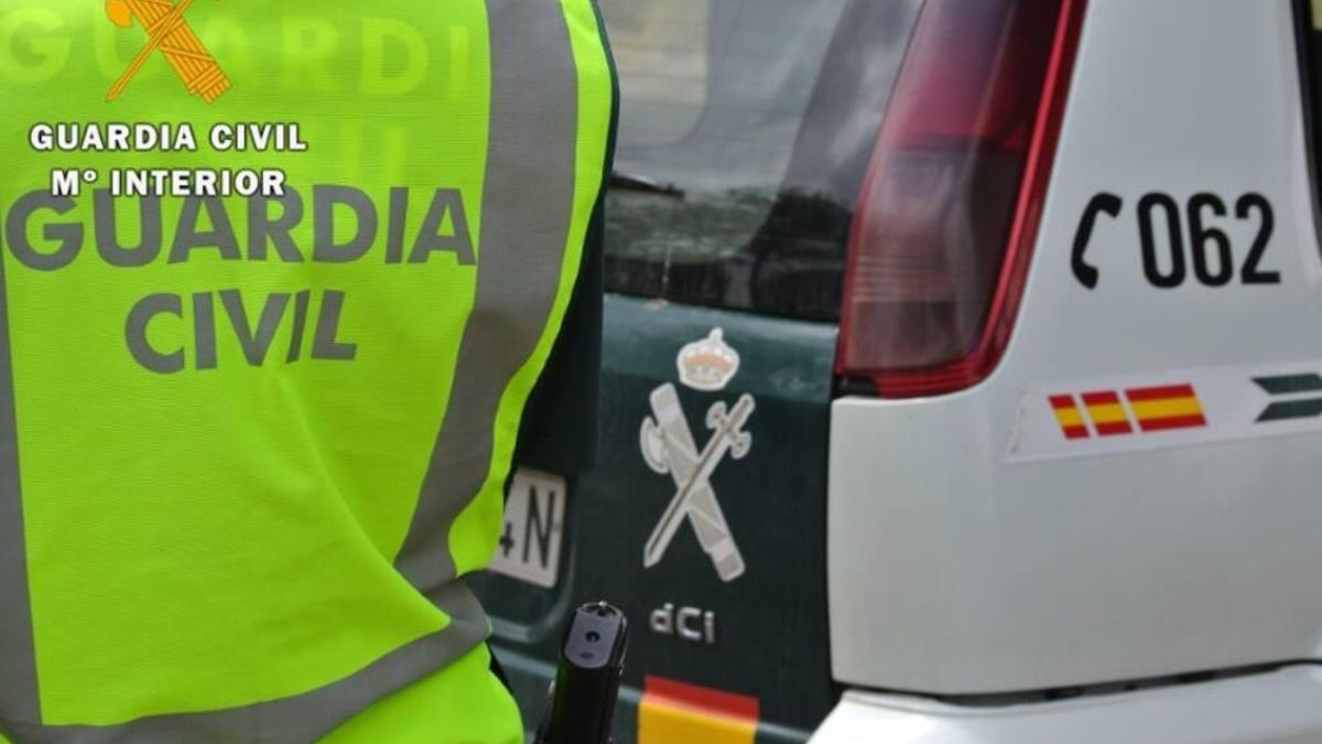 Hallan a 27 perros de caza muertos en una furgoneta dentro de la bodega de un barco en el puerto de Palma