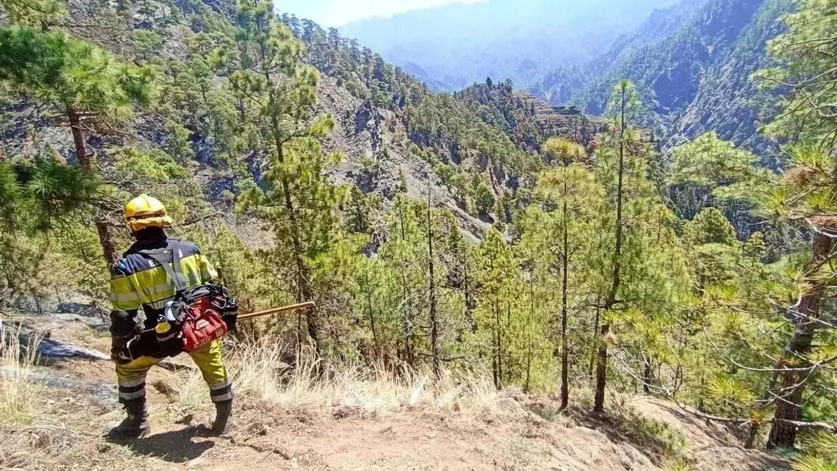 Imagen de archivo de un miembro del EIRIF La Palma (Equipo de Intervención y Refuerzo en Incendios Forestales) en labores de control y vigilancia.