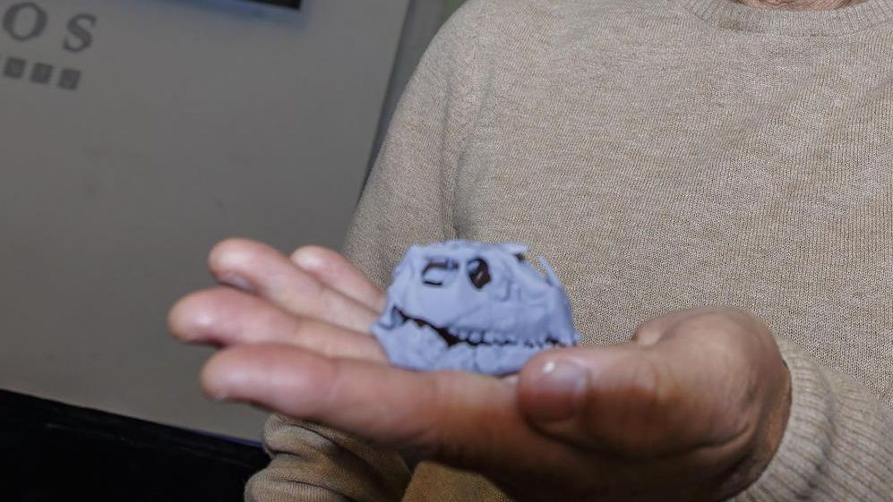 Hallan en Burgos el dinosaurio ornitópodo más pequeño del mundo, de hace 125 millones de años