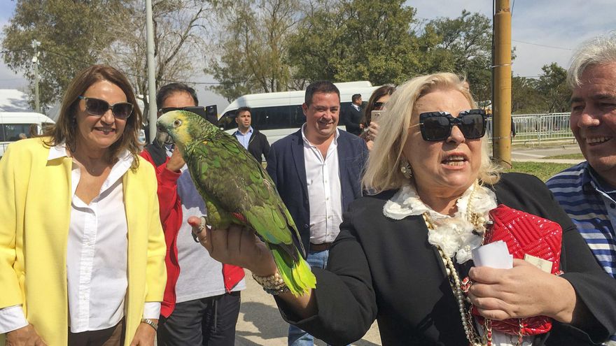 Un proyecto de Carrió podría ser el puntapié para que los represores consigan la prisión domiciliaria