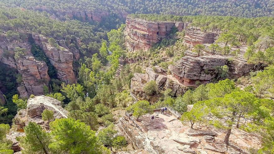 La planta de biogás "a las puertas" del Alto Tajo que ha sido descartada: "Fue fundamental la oposición social"