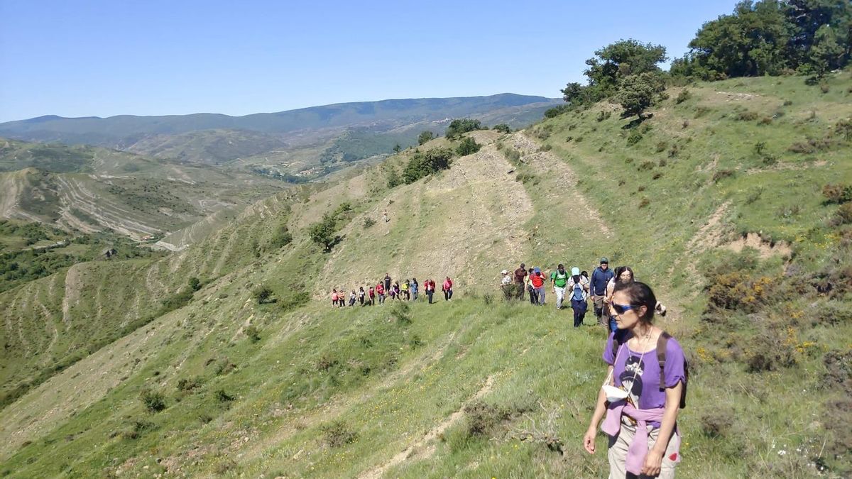 Una Ruta del Silencio al despoblado Solar de Valdeosera y un paseo por la tradición ganadera de Brieva este fin de semana