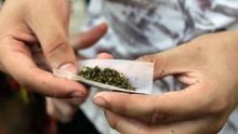 El consumo diario de cannabis es un factor de riesgo para trastornos psicóticos