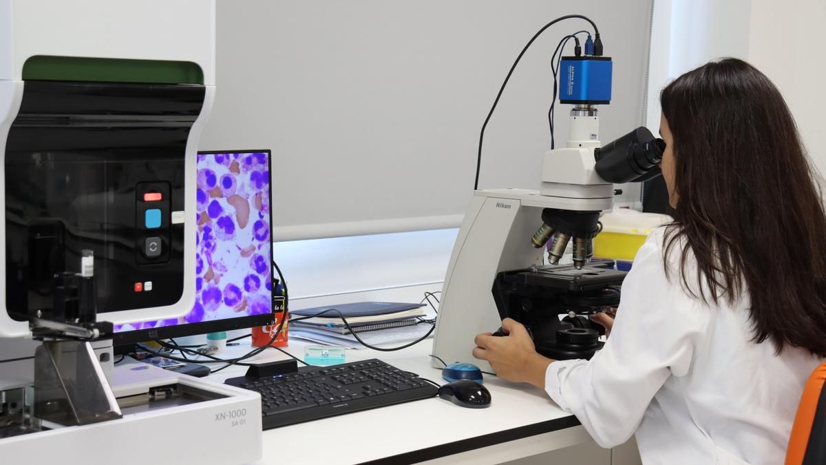 La Junta promueve un centro en red de terapias avanzadas con universidades e institutos de investigación biosanitaria