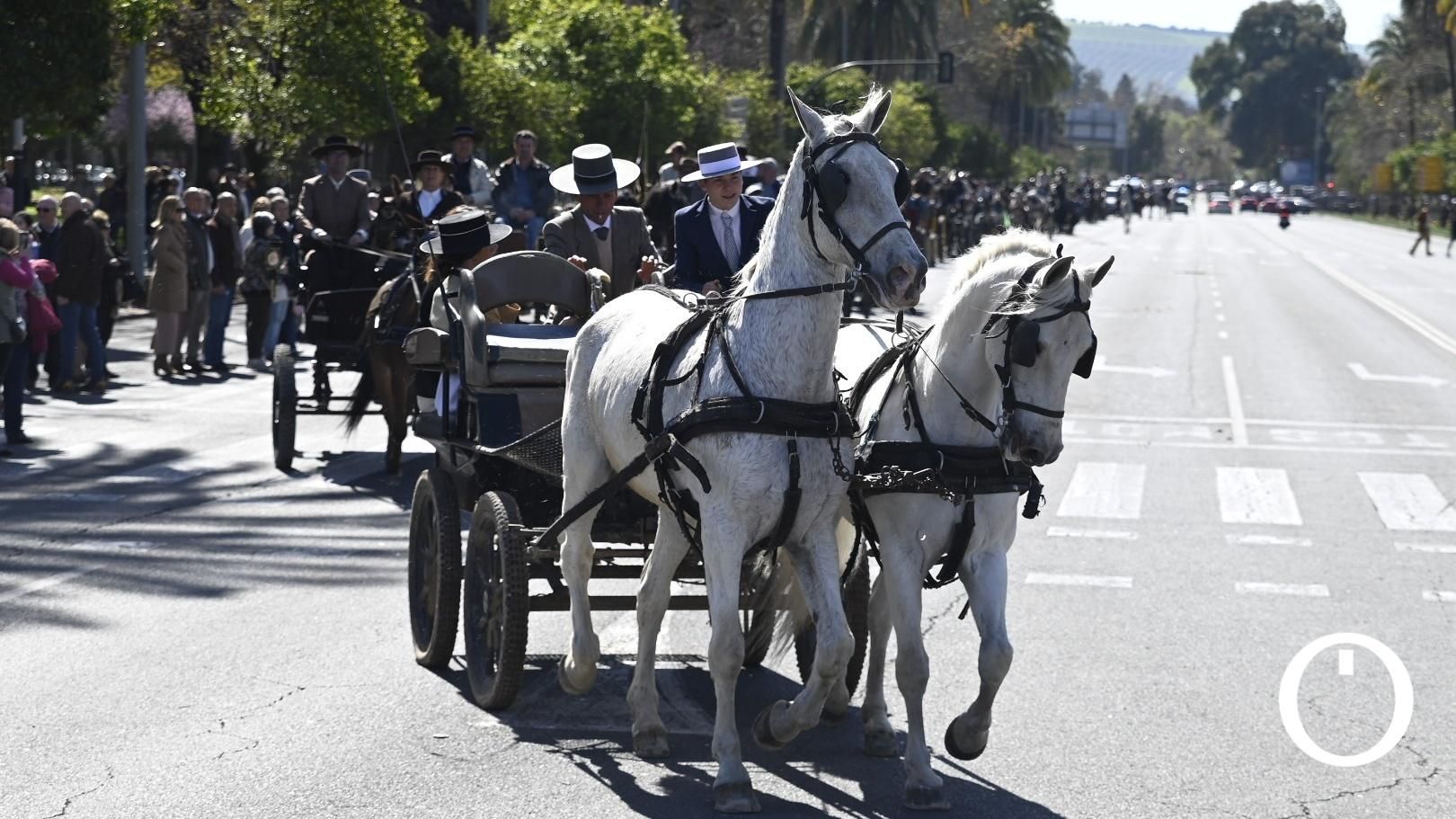 Marcha hípica por el día de Andalucía
